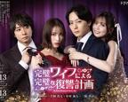 《完美妻子》日剧在线观看